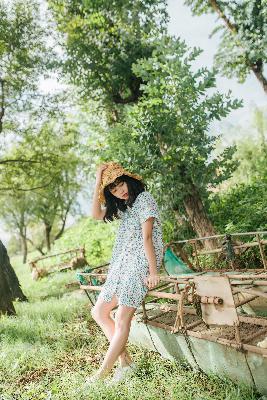 藏海传在线全集免费观看